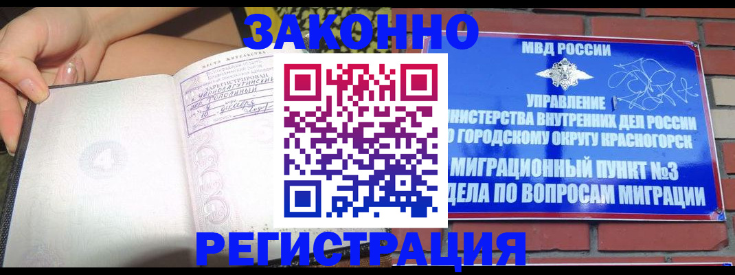 временная регистрация поиск в Краснодаре